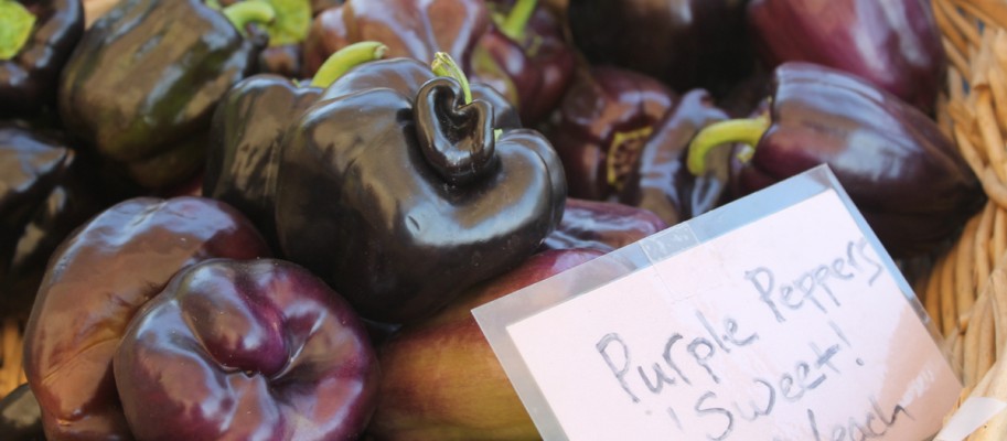 Get Access to Local Food in your Community IMG_0153